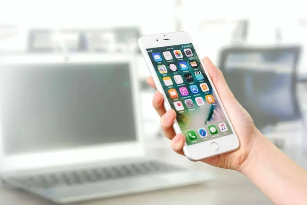 celular

